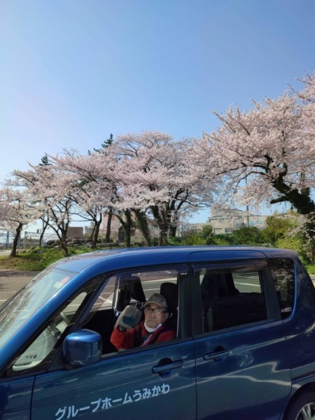 桜の花見に行きました