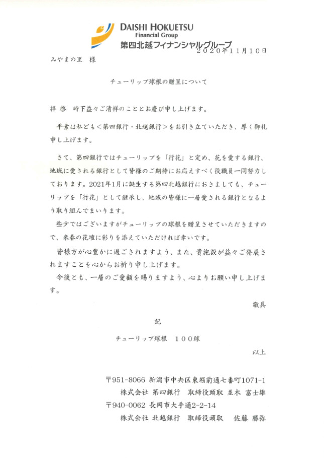 チューリップの球根をいただきました