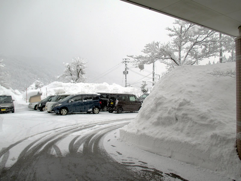 デイあじさいと雪の状況