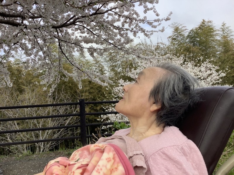 新年度が始まりましたね