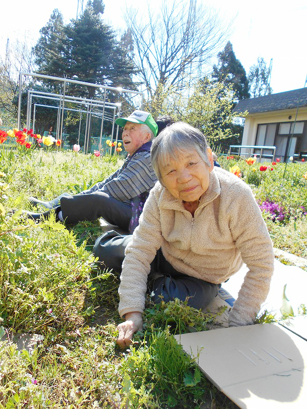 野菜の苗を植えました