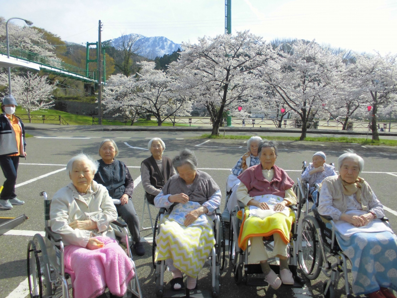 お花見ドライブ