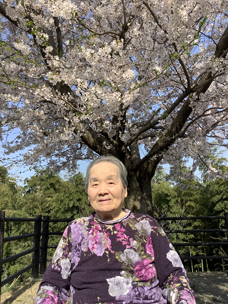 満開の桜の下で