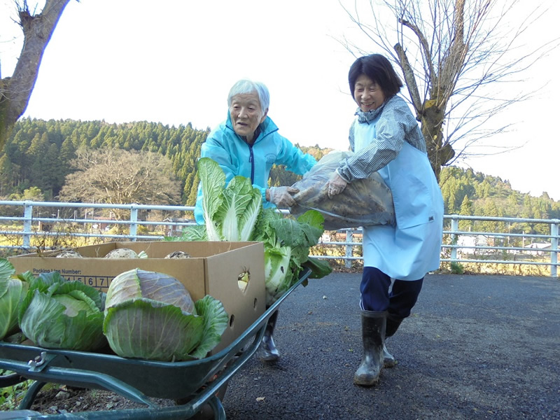 今年最後の収穫