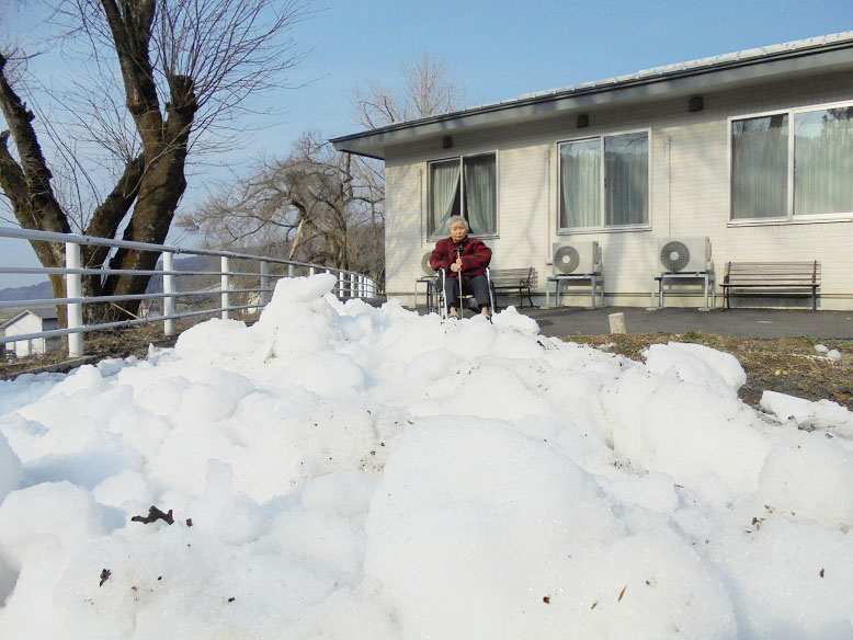 雪下大根