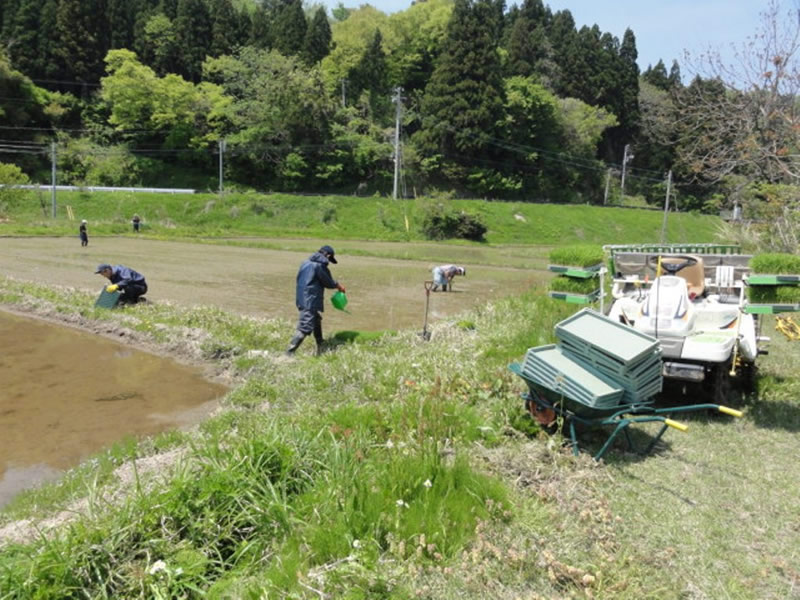 水保地区の田植えを行いました