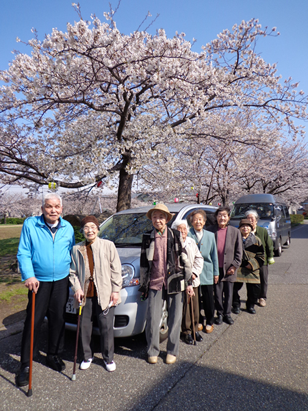 今年の桜もきれいだね