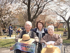 お花見