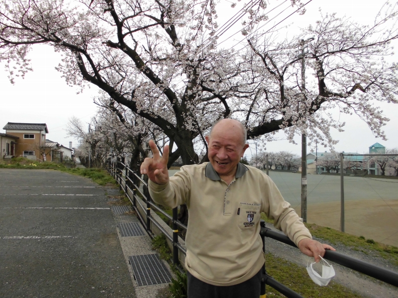 お花見